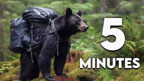 Backpacking Trip Ready in 5 Minutes! | How to Organize Backpacking Gear