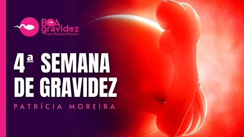 4 SEMANAS DE GRAVIDEZ - Gravidez Semana a Semana com Patrícia Moreira