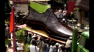 World's Biggest Shoes