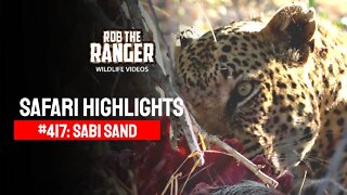 Safari Highlights #417: 26 - 28 June 2016 | Sabi Sand Wildtuin | Latest Wildlife Sightings