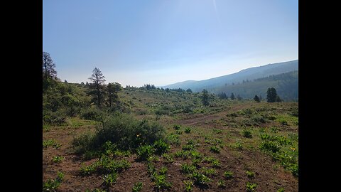 Hot Spring Morning