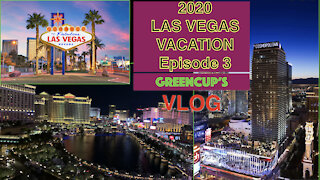 Travel VLOG | Las Vegas 2020 | Episode 3: 7 COCA-COLA and a Honey Pig.