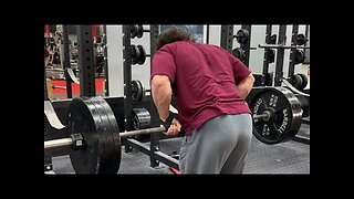 Spring Bulk Day 73 - Back and Calves