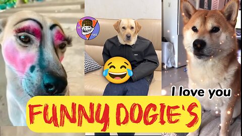 Dogie's funny moments 😂| #funnydogs | dubbedgalleryfuns