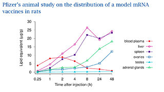 Masterful exposition of the danger posed by the Lipid Nanos and of spike protein detection method