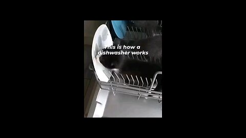 Ever wondered how a dishwasher works?😺