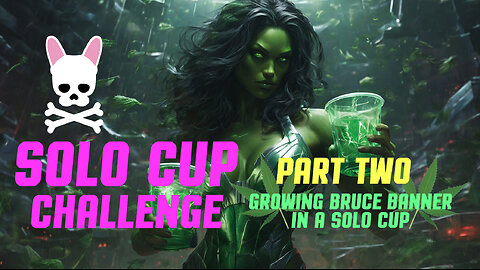 Solo Cup Challenge Episode 2 - Bruce Banner Auto
