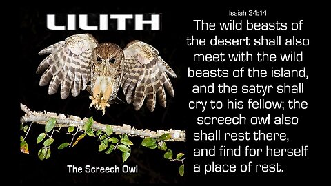 LILITH- THE SCREECH OWL #45