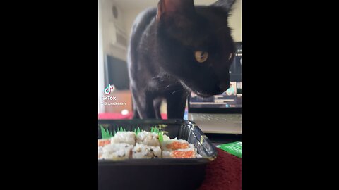 Sushi meow