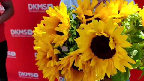 (S) The DKMS team handing out 510 sunflowers