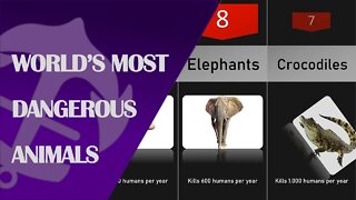 Top 10 World’s most dangerous animals #dangerousanimal #anchorstats