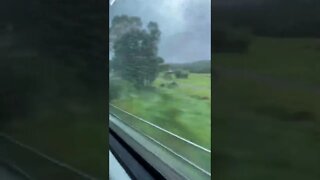 Tilt Train. Queensland Australia.