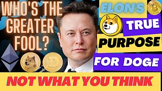 ELON'S REAL PLANS FOR DOGECOIN ARE BAD FOR CRYPTO HOLDER #crypto #bitcoin #ethereum #dogecoin