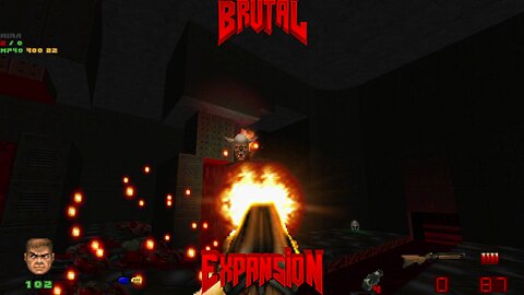 Brutal Doom v21.13.2 | TNT Map 14 | Online Co-op