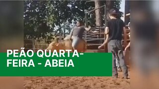 Peão Quarta Feira - OS PEÃO MAIS ABEIA DO BRASIL