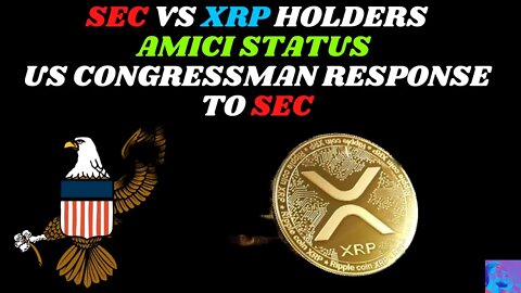 SEC vs XRP holders Amici Status, US congressman attacks XRP and crypto exchanges