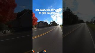 How many more? #shorts #harleydavidson #motorcycle #viral #riding #fall #freedom