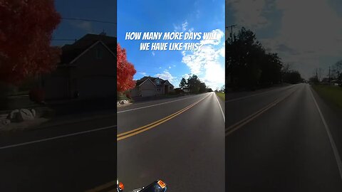 How many more? #shorts #harleydavidson #motorcycle #viral #riding #fall #freedom