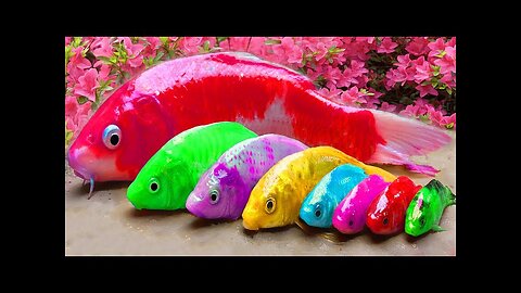 Colorful Fish Rainbow Eel | Synthes Bon Bon Skeleton Formation Koi Fish Gold Fish Water Pond #p2