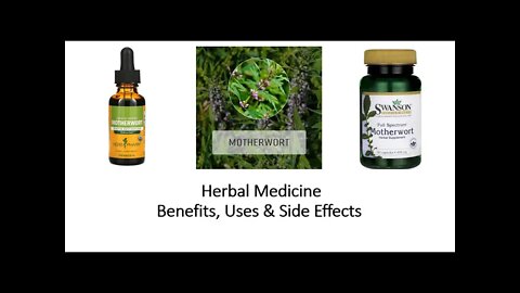 Motherwort Herbal Medicine Benefits, Uses & Side Effects