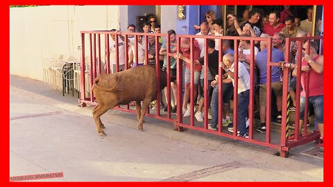 MALLEN ( ZARAGOZA ) TARDE VACAS EN CALLE ( SABADO 15 JULIO 2023 ) GANAD.ARRIAZU