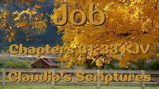 The Bible Series Bible Book Job Chapters 31-33 Audio