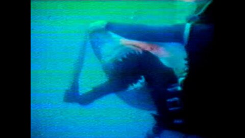 Henri Bource Shark Attack (Actual Footage) | Savage Shadows [1964]