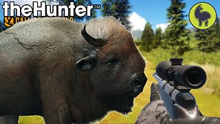 Up Close and Personal, Hunt Club Beta | theHunter: Call of the Wild (PS5 4K 60FPS)
