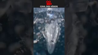 drone registra baleia azul