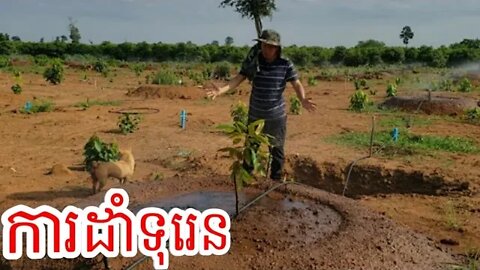 ការដាំទុរេនអោយបានត្រឹមត្រូវ & ការត្រៀមទុកមុនពេលដាំទុរេន | How To Grow Durian - Chhun kang