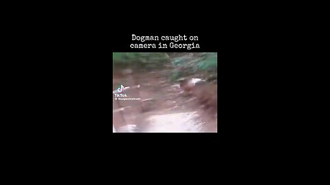 dog man caught on camera in Georgia