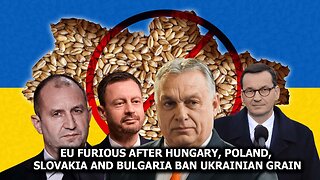 EU Furious After Hungary, Poland and Slovakia Ban Ukrainian Grain
