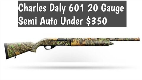 Charles Daly 20 Gauge model 601 Semi Auto Shotgun Under $350