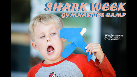 SHARK PUPS GALORE AT PERFORMANCE ATHLETICS?!