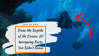 From the Depths of the Ocean: 10 Intriguing Facts You Didn't Know