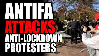 Antifa Attacks Anti-Lockdown Rally