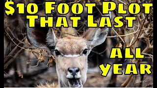 Easy Deer Food Plot | Grow Big Bucks #deer #deerhunting #diy