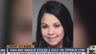 Woman robs makeup stores 20 different times