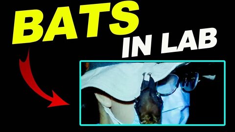 Bombshell Evidence: Live Bats in Wuhan Lab & “Intense Clashes” Between China & France