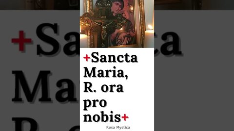 Sancta Maria, ora pro nobis #shorts