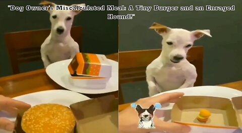 "Dog Owner's Miscalculated Meal: A Tiny Burger and an Enraged Hound!"