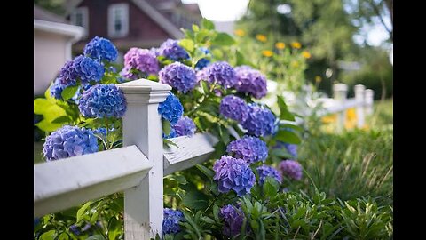 5 Best Low Maintenance Plants for Front of House Garden 🌿🍃 Ground Cover Plants