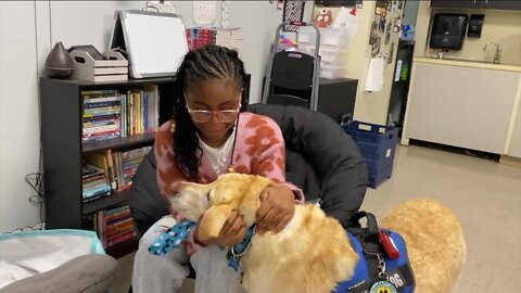 Duke the tie-wearing dog calms his human classmates at Valrico's Buckhorn Elementary School