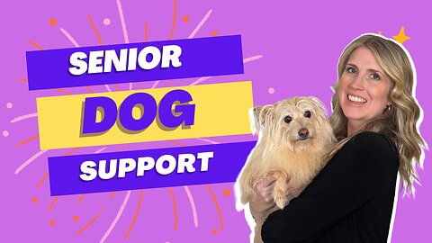 Supporting My Senior Dog (part 1)