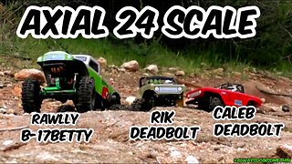 Axial 24 Scale