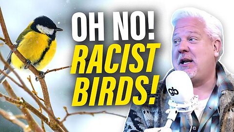 BREAKING: Birds Are Now RACIST!