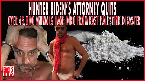 Hunter Biden's Attorney Quits | Over 45,000 Animals Killed So Far in East Palestine | RVM Roundup