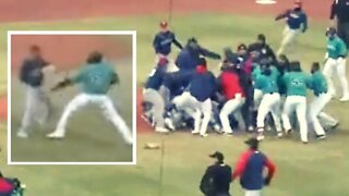 HUGE BRAWL At Minor League Baseball Game