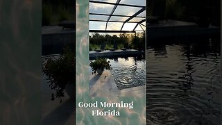 Good Morning Florida