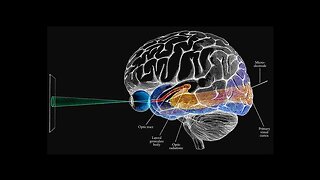 How Color Tricks The Eye And Brain